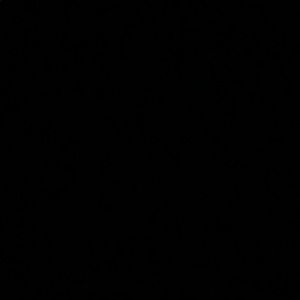 Meet your Posher, Skylar